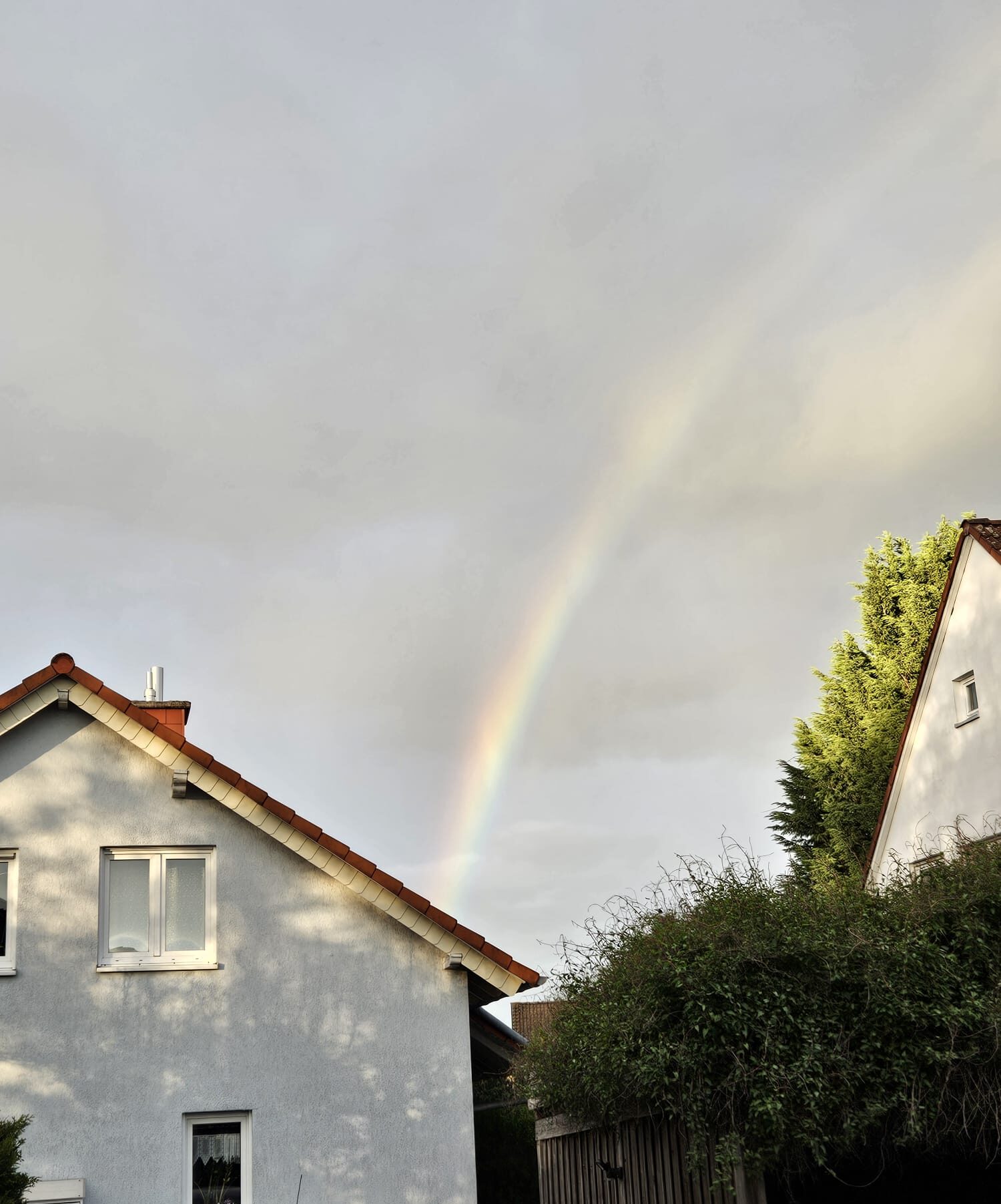 Regenbogen